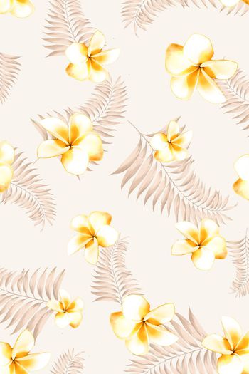 399617-热带鸡蛋花