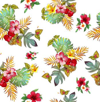 399640-经典热带花卉