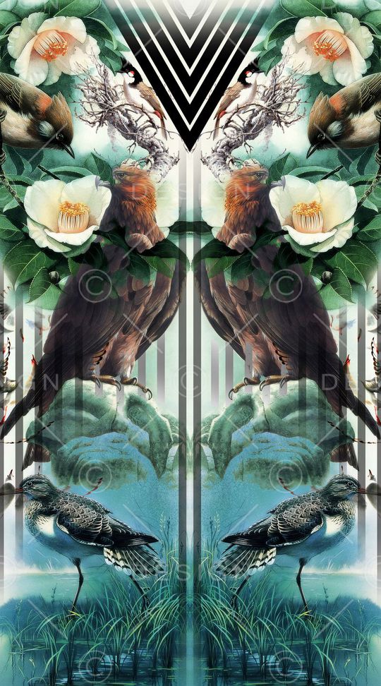 丛林鸟印花华亿平台图片