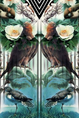 丛林鸟印花华亿平台图片