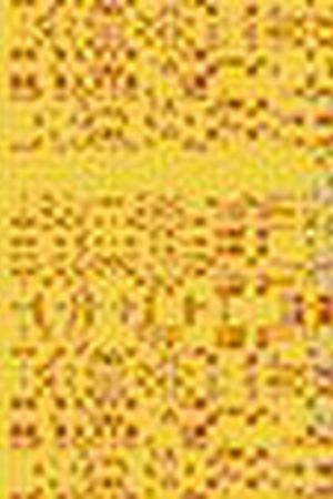 方格印花华亿平台图片