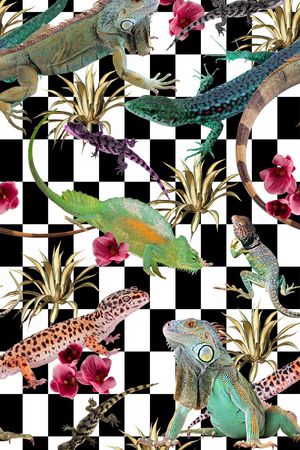 爬行动物印花华亿平台图片