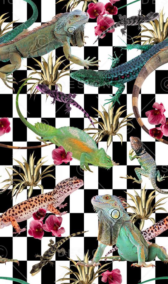 爬行动物印花华亿平台图片