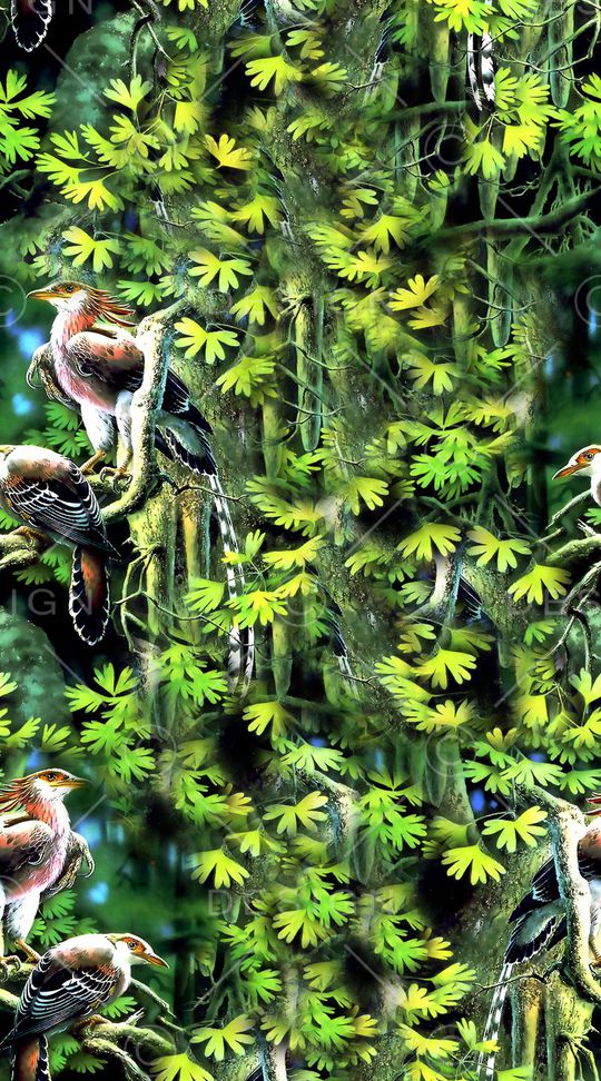 古树印花华亿平台图片