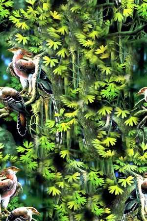 古树印花华亿平台图片