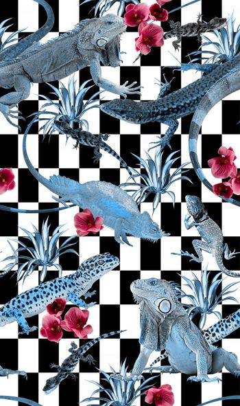 399951-几何黑白自然界野生蜥蜴花卉热带枝叶