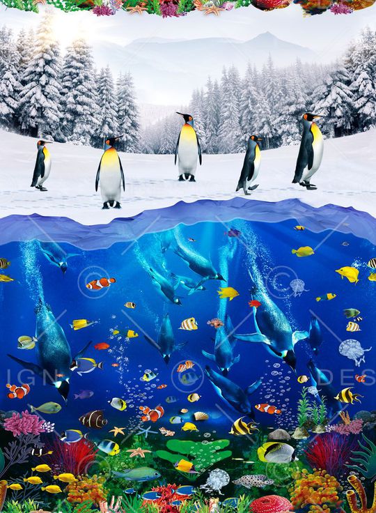 企鹅印花华亿平台图片