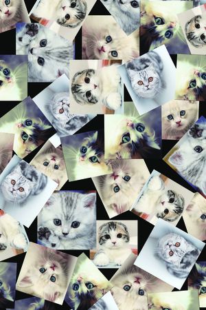 时尚印花华亿平台图片