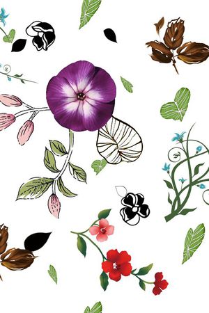 凌乱印花华亿平台图片