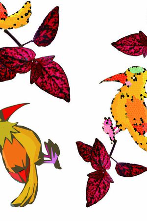 简约印花华亿平台图片