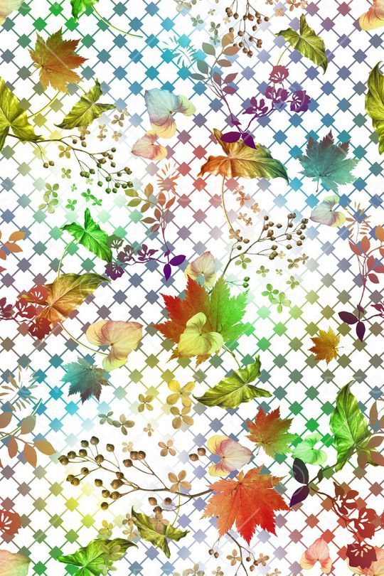 热带印花华亿平台图片