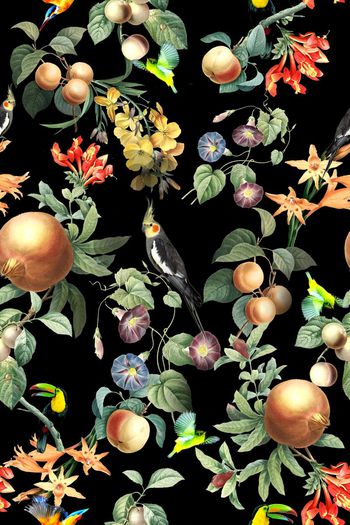 400850-小清新水果花卉鹦鹉蜂鸟