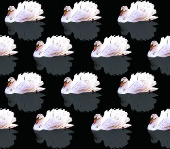 简约印花华亿平台图片