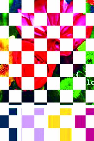 大气印花华亿平台图片