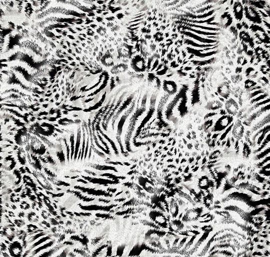 虎豹印花华亿平台图片