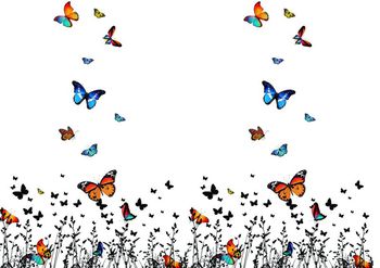 蝴蝶印花华亿平台图片