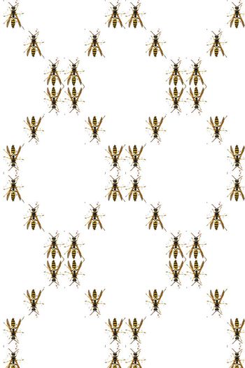 动物印花华亿平台图片