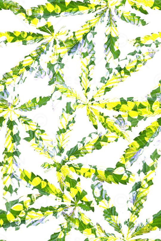 创意斑点热带观叶植物叶子印花华亿平台图片