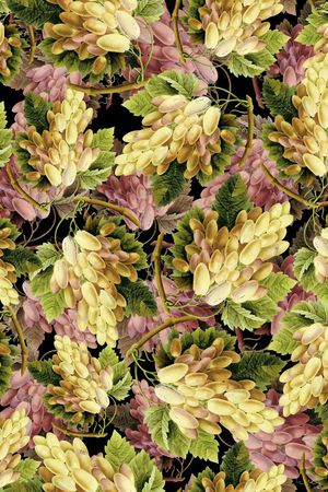 手绘水果印花华亿平台图片