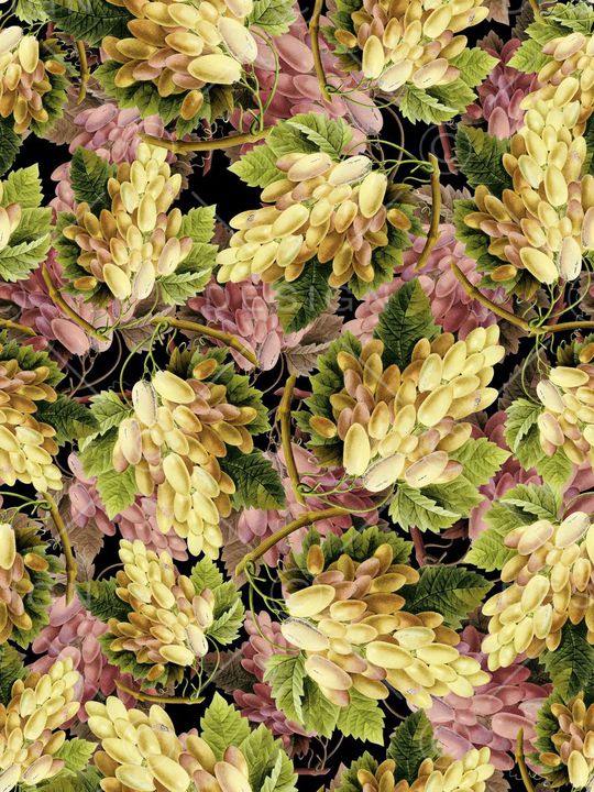 手绘水果印花华亿平台图片