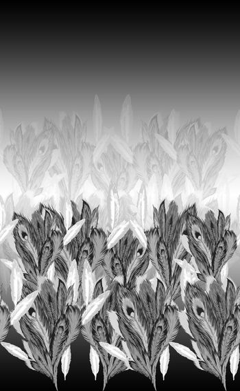 黑白渐变印花华亿平台图片