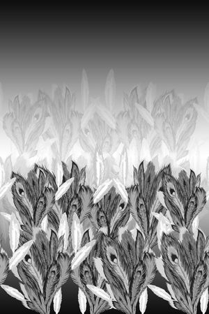 黑白渐变印花华亿平台图片