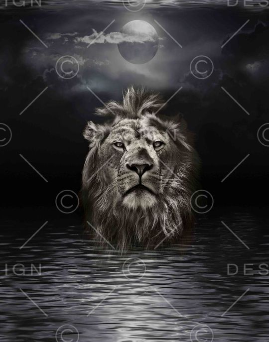 定位时尚印花华亿平台图片