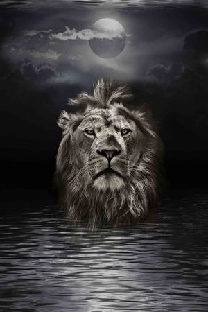 定位时尚印花华亿平台图片