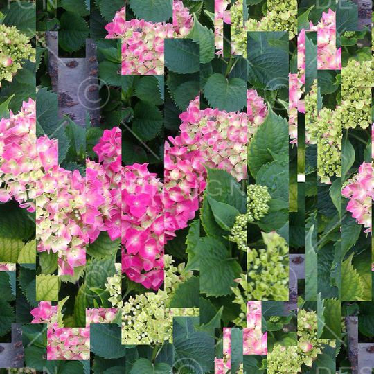 潮流印花华亿平台图片