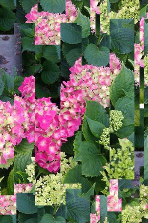 潮流印花华亿平台图片