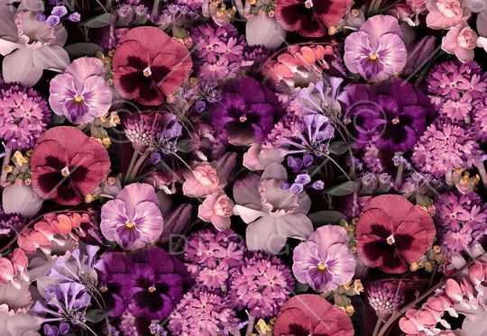 四分色印花华亿平台图片