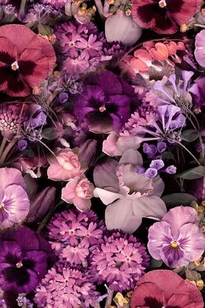 四分色印花华亿平台图片