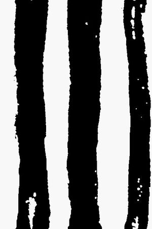 条子印花华亿平台图片