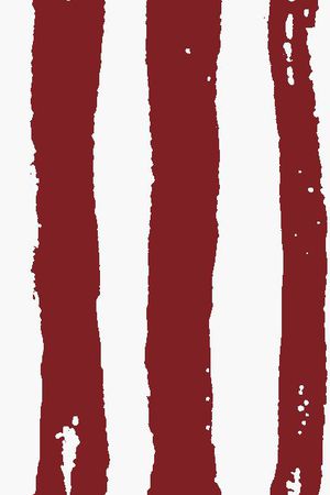 条子印花华亿平台图片