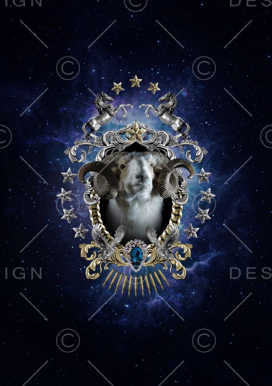 定位印花华亿平台图片