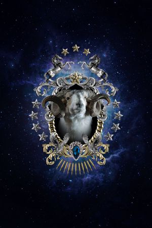 定位印花华亿平台图片