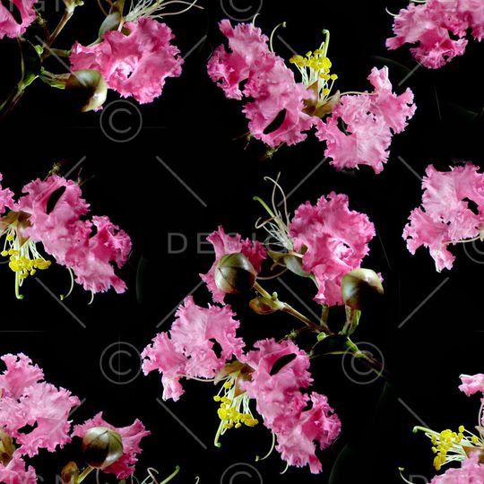 潮流印花华亿平台图片