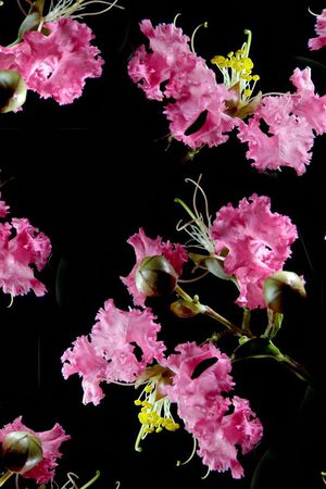 潮流印花华亿平台图片