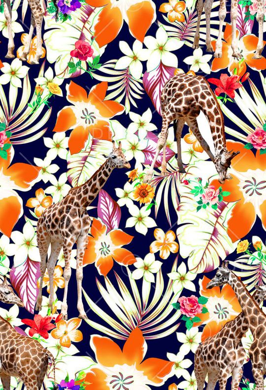 热带印花华亿平台图片