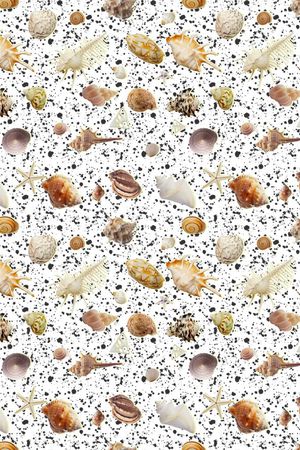 贝壳印花华亿平台图片