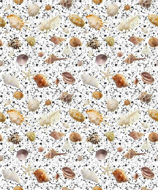 贝壳印花华亿平台图片