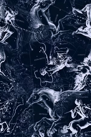 欧式印花华亿平台图片