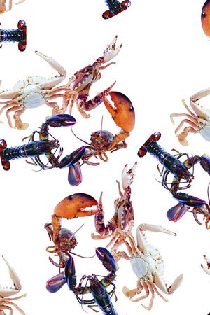 潮流印花华亿平台图片