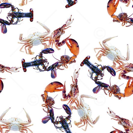 潮流印花华亿平台图片