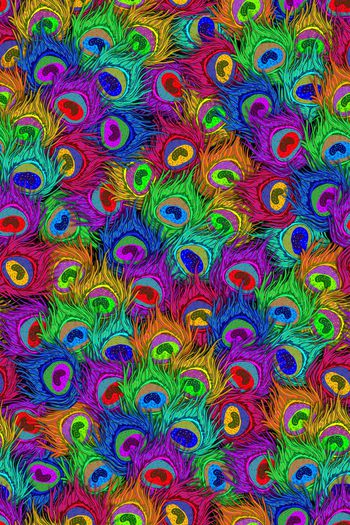 401592-动物纹七彩手绘孔雀羽毛