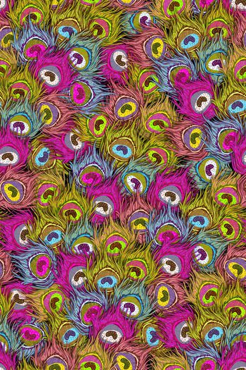 401621-动物纹七彩手绘孔雀羽毛