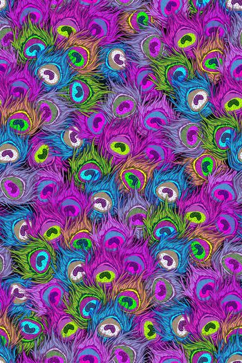 401623-动物纹七彩手绘孔雀羽毛