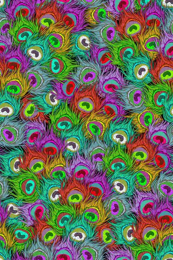 401624-动物纹七彩手绘孔雀羽毛