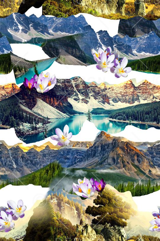 写实花印花华亿平台图片