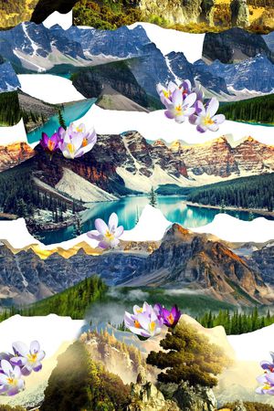 写实花印花华亿平台图片